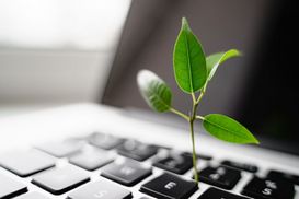 Setzling auf Tastatur