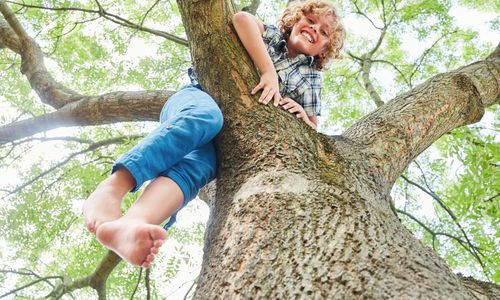 stock.adobe.com/Robert_Kneschke Das Foto zeigt einen Jungen auf einem Baum