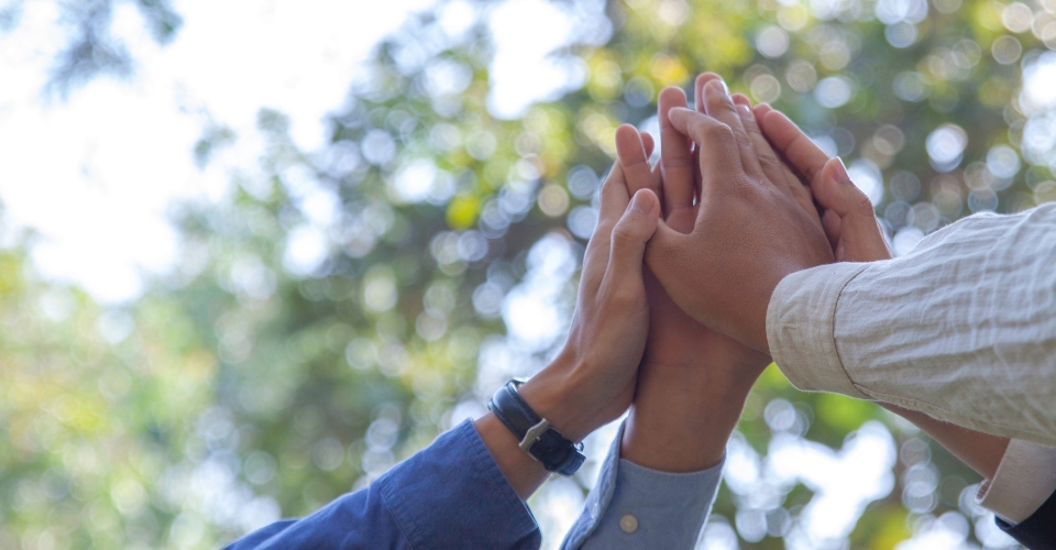 © stock.adobe.com / Worawith