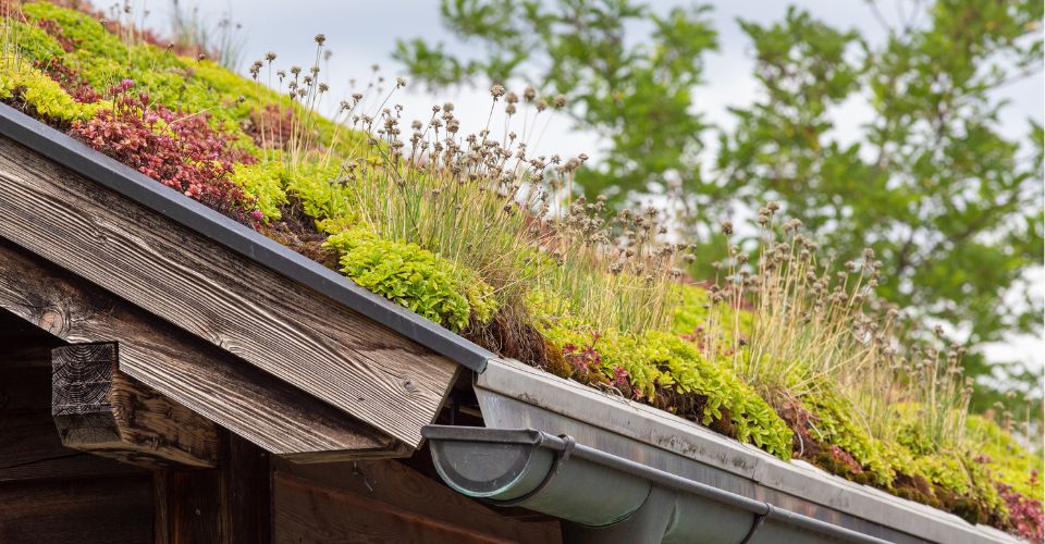 © stock.adobe.com / Budimir-Jevtic