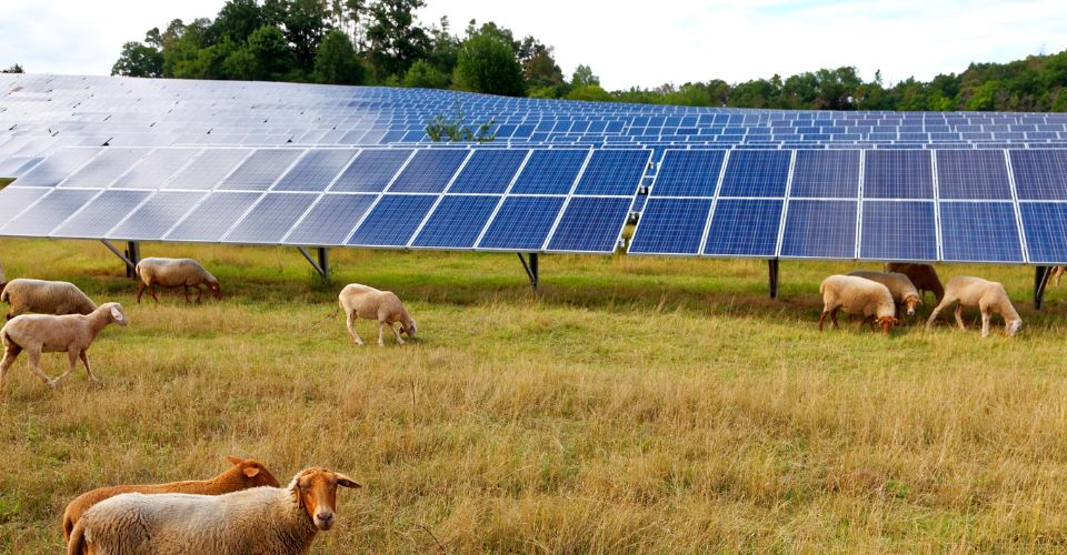 Foto: Karl-Friedrich Hohl / istock.com